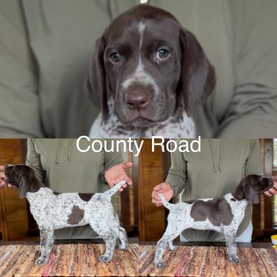 County Road County Road