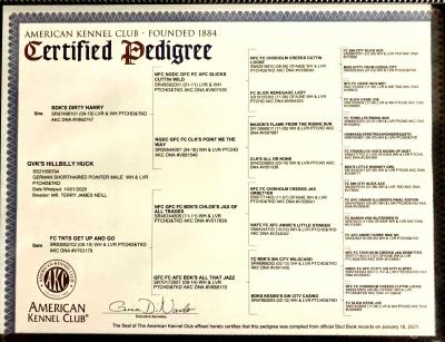 Sire pedigree Sire pedigree