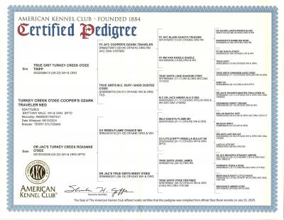 Turkey Creek O’Dee Cooper’s Ozark Traveler Ned pedigree
Turkey Creek O’Dee Cooper’s Ozark Traveler Ned pedigree