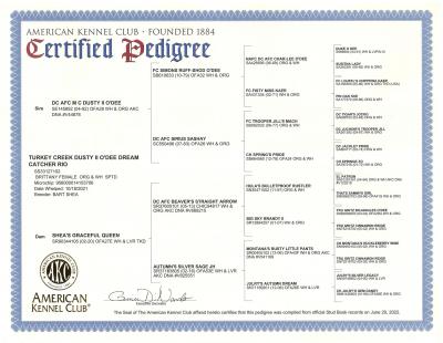 Turkey Creek Dusty II O'Dee Dream Catcher Rio AKC Pedigree Turkey Creek Dusty II O'Dee Dream Catcher Rio AKC Pedigree