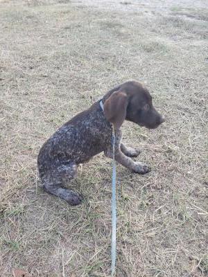 Male 1 Male 1