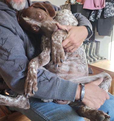 Mama very healthy 50lbs Mama very healthy 50lbs