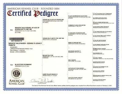 Raven's AKC Pedigree Raven's AKC Pedigree