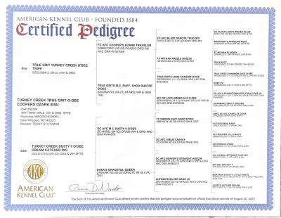 Turkey Creek True Grit O'Dee Coopers Ozark SiSu Pedigree Turkey Creek True Grit O'Dee Coopers Ozark SiSu Pedigree