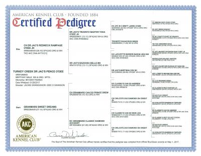 Turkey Creek Dr Jacs Pence O Dee Pedigree (At Stud) Turkey Creek Dr Jacs Pence O Dee Pedigree (At Stud)