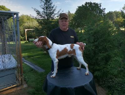 True Grit Turkey Creek O'Dee Tripp True Grit Turkey Creek O'Dee Tripp