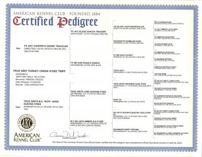 True Grit Turkey Creek O Dee Tripps Pedigree (At Stud) True Grit Turkey Creek O Dee Tripps Pedigree (At Stud)