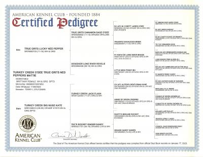 Turkey Creek O Dee True Grits Ned Peppers Matties Pedigree Turkey Creek O Dee True Grits Ned Peppers Matties Pedigree