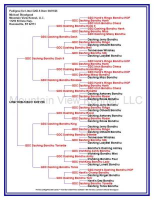 Pedigree for D26 Litter. Pedigree for D26 Litter.