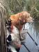 Wilie duck hunting
