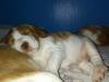 Thunder 3 weeks