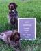 Murphy and Maggie 