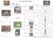 Gus x Bonnie Puppy pedigree with pictures.
