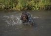 9 weeks old and their first experience with water