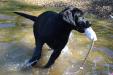 13 Weeks on the water.