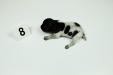Female #8
Black & White
1 Week Old 