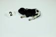 Male 
Black & White
1 Week Old
