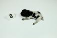 Female 
Black & White
1 Week Old