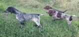 Graf (father, on left), Abby and Riley (Kimber daughters, on right) 