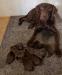 Mom & babies