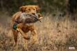 Remi running a master test. 