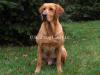 Riparian Ghostrider QAA  "Nick"