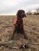 8 month old pup with first wild bird