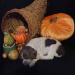 SOLD liver roan Brittany puppy