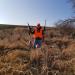 Pheasant hunting with Buddy & Pepper 2019