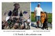 Deeks & Journey with trainer Tom Heidl