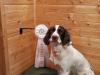 Axl with field trial placement award