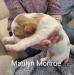 Marilyn Monroe   14 days old