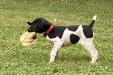 Cody- Bobbi Sue Male