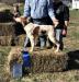 Slim at Field Trial