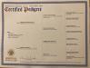 Dam's Pedigree