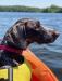 Mom Gidget enjoying kayaking 