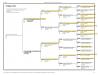 Pedigree