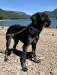 Picture is of dad after a swim in the lake.