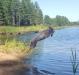 Sam loves the water. 