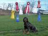 Rhett various trial ribbons