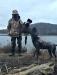 Sheba bringing handing off a Canadian Goose!