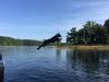 Sheba getting big air at the Docks!