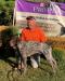 Heinz earning his NAVHDA Versatile Champion Title