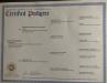 Dam Akc paperwork