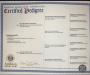 Sire Paperwork