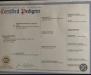 Dam Paperwork