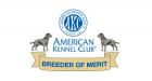 AKC BREEDER OF MERIT