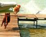 AFC LARK, FC/AFC PHANNY & VOODOO going for a Dock Dive at Glen Lake, MI