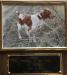 FIeld Champion Open Range-Grandsire