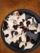Pups